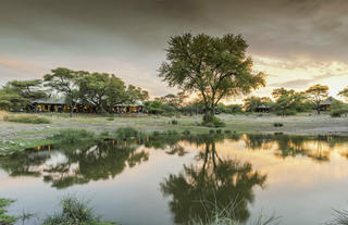 Waterhole