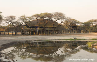 Onguma Tree Top Camp