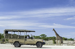 Game Drives