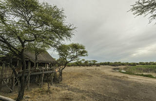 Onguma Tree Top