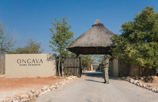Ongava Game Reserve