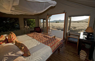 Desert Rhino Camp