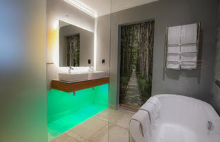 Forest Suite