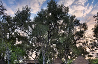 Khwai Bush Camp