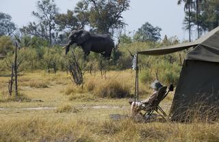 andBeyond Expeditions