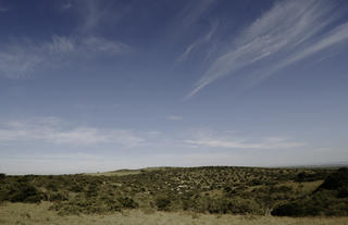 Bukela Game Lodge - Views