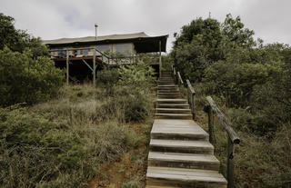 Bukela Game Lodge - Luxury Safari Tent