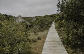 Bukela Game Lodge - Walkway