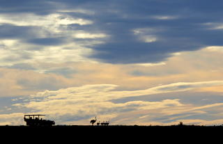 Bukela Game Lodge