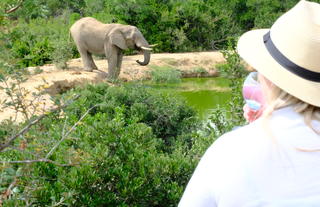 Bukela Game Lodge