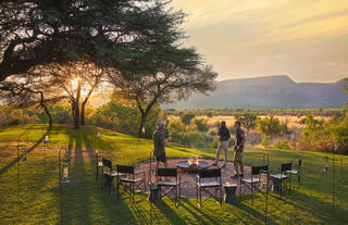 Safari Lawn
