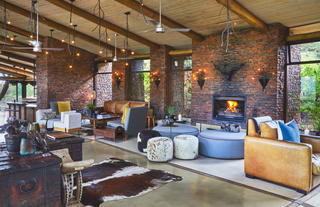 Safari Lounge