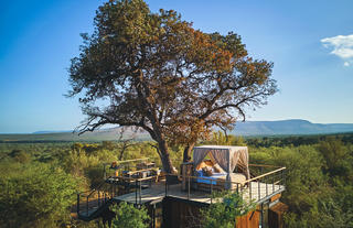 Thabametsi Treehouse 1