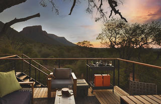 Thabametsi Treehouse 4