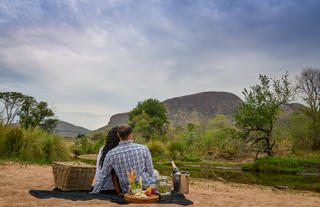 Bush picnic