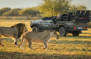 On Safari