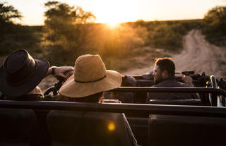 Afternoon sunsets on safari