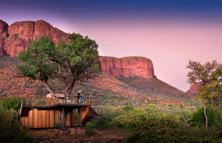 Thabametsi Treehouse