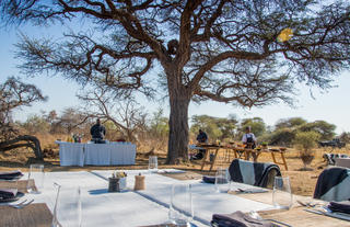 Bush Breakfast setup