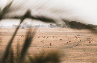 Wilderness Shumba Camp
