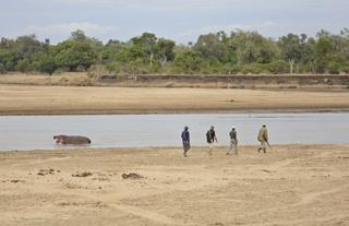 Lion Camp