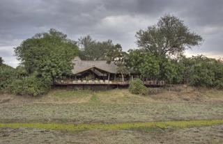 Lion Camp