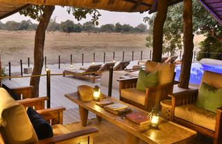 Lion Camp