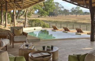 Lion Camp