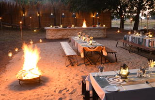 Lion Camp