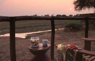 Lion Camp