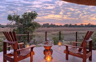 Lion Camp