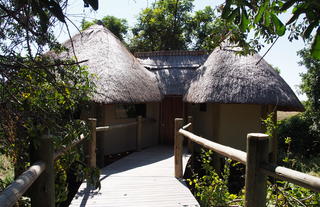 Lion Camp