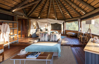 Lion Camp - Deluxe Suite full