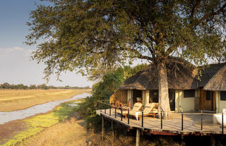 Lion Camp - Deluxe suite number 1