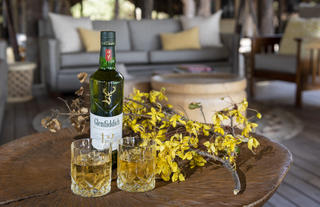 Lion Camp - drinks