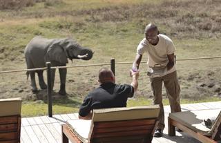 Lion Camp - Drinks on deck while Viewing Game