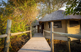 Lion Camp - Linked walkways