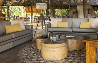 Lion Camp - Lounge area 3