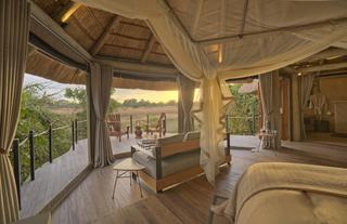 Lion Camp