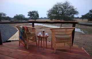 Lion Camp