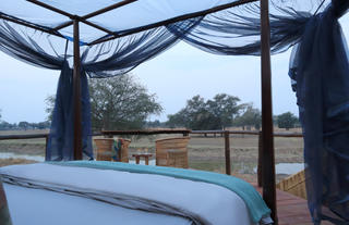 Lion Camp