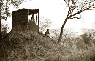 Mwamba Bush Camp Anthill Lookout