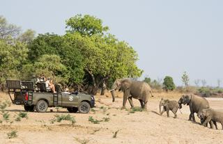 Amazing Game Drives