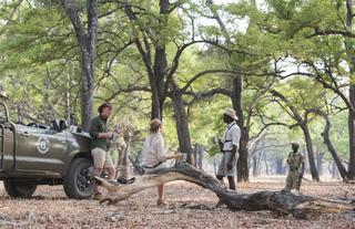 Amazing Game Drives