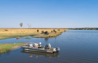 River Safaris on the Chobe River