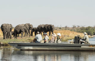 Boating Safari With Chobe Savanna Lodge