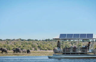 Chobe River Safari