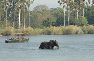 Mvuu Lodge