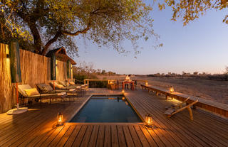 Wilderness Savuti