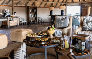 Wilderness Savuti